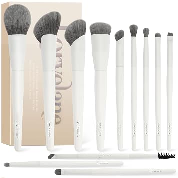 Makeup Brushes 12Pcs Make up Brushes Set Professional with Case